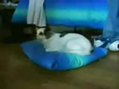 O pereche de blonde are un trio abur cu grase flocoase o roșcată